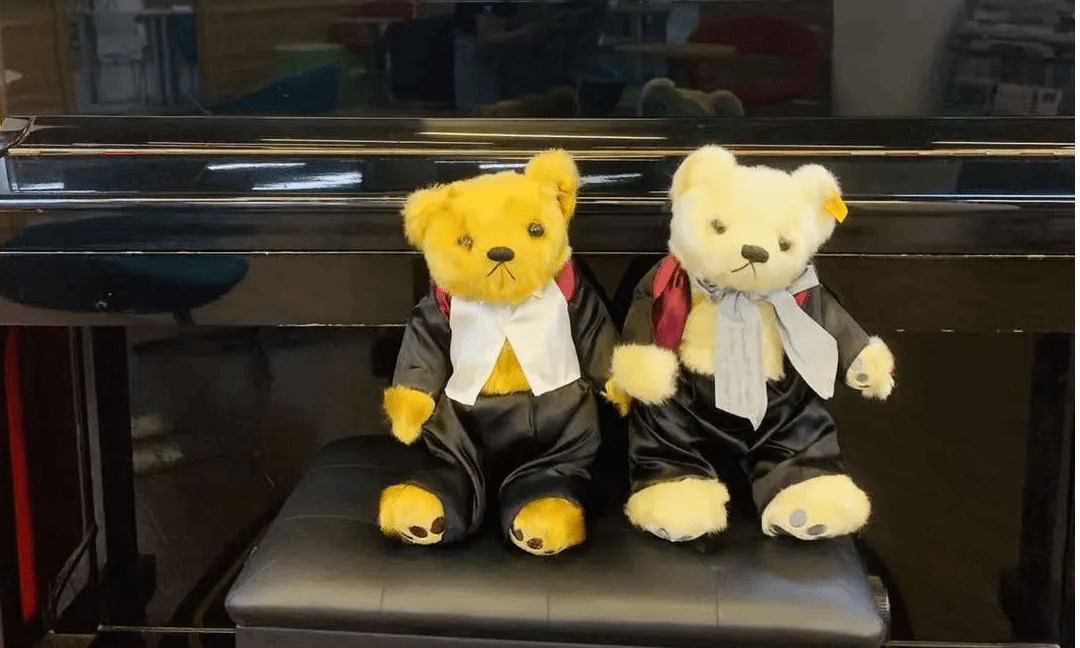 夜韵琴声,在图书馆与音乐浪漫邂逅!