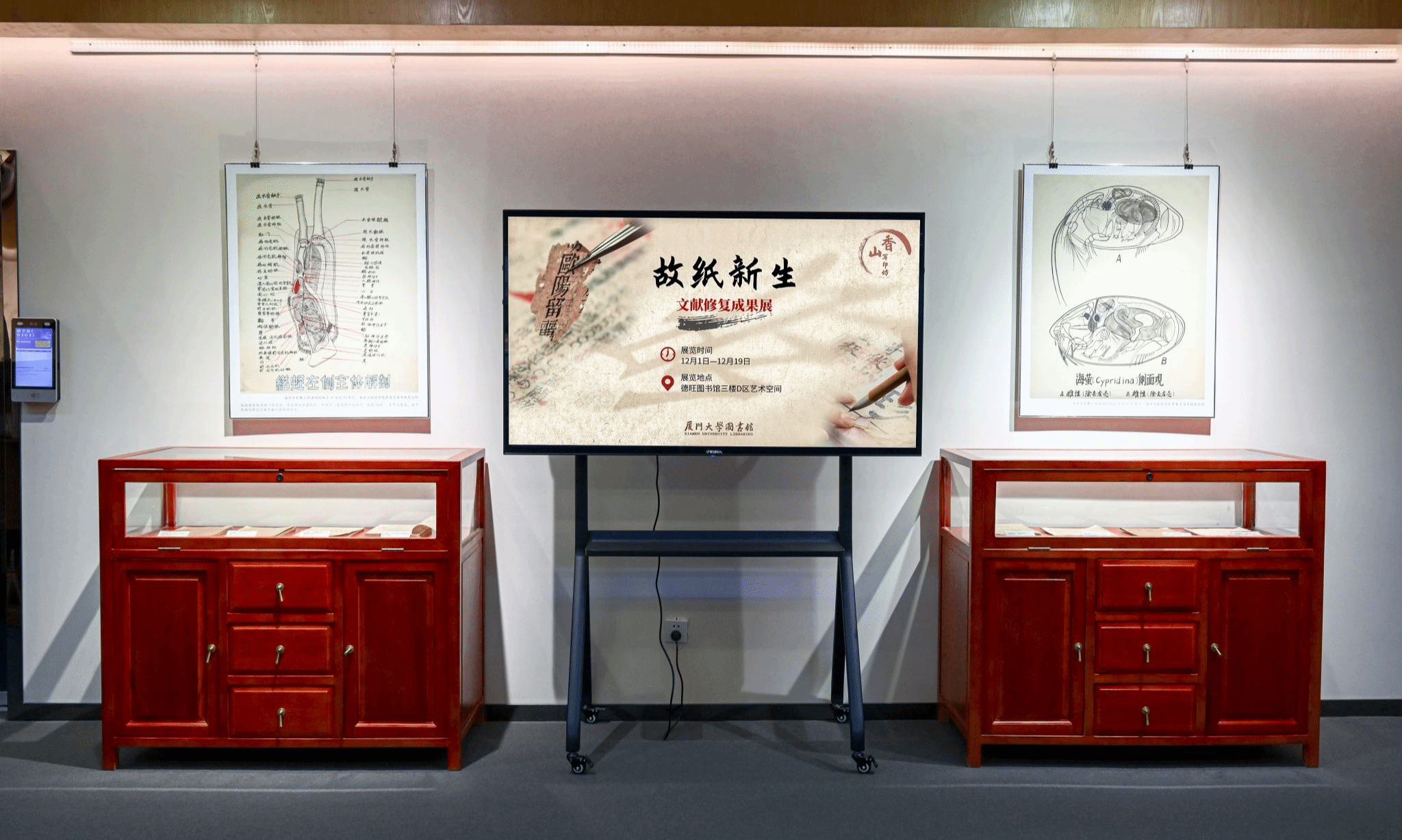 听说图书馆给“楮先生”办了个展?